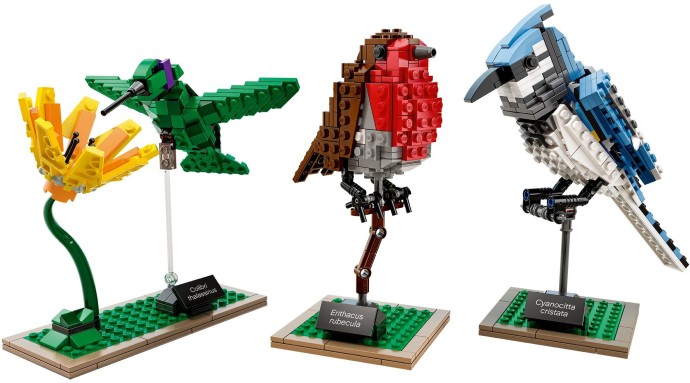 LEGO 21301 Birds